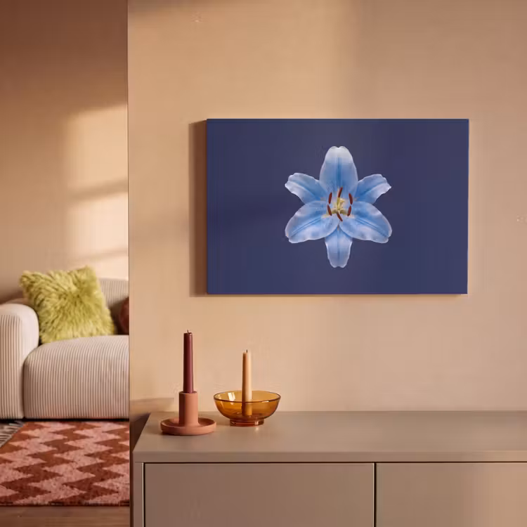 Leinwandbild - Blaue Lilie – Blumen — 2