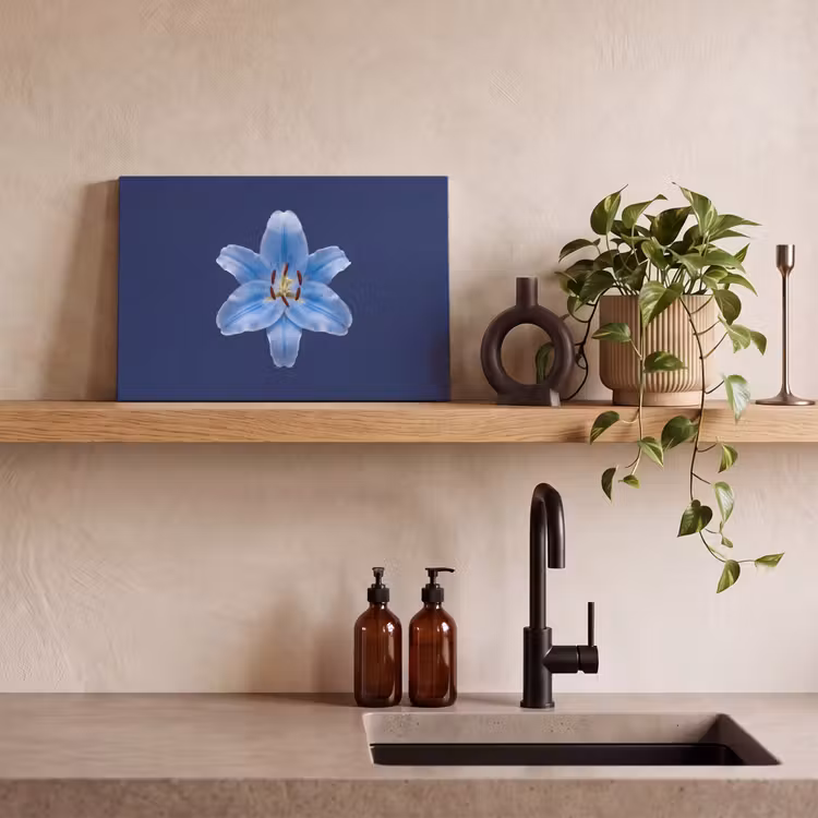 Leinwandbild - Blaue Lilie – Blumen — 3