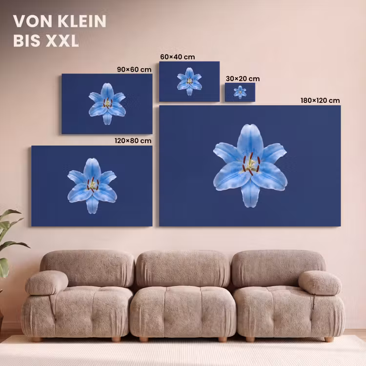 Leinwandbild - Blaue Lilie – Blumen — 6