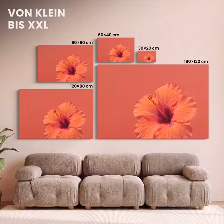 Leinwandbild - Blumen – Orange – Natur — 6
