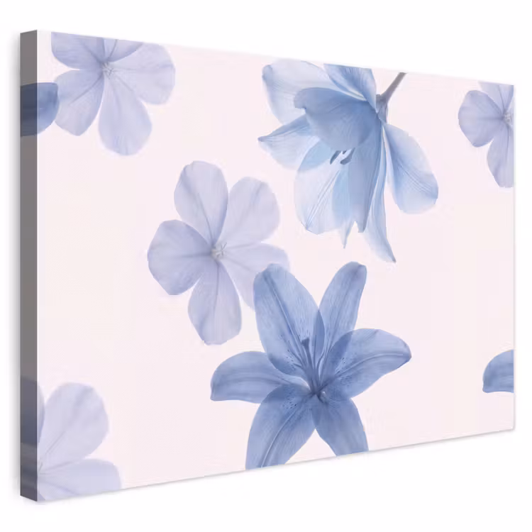 Leinwandbild - Blumen – Transparent – Modern — 1
