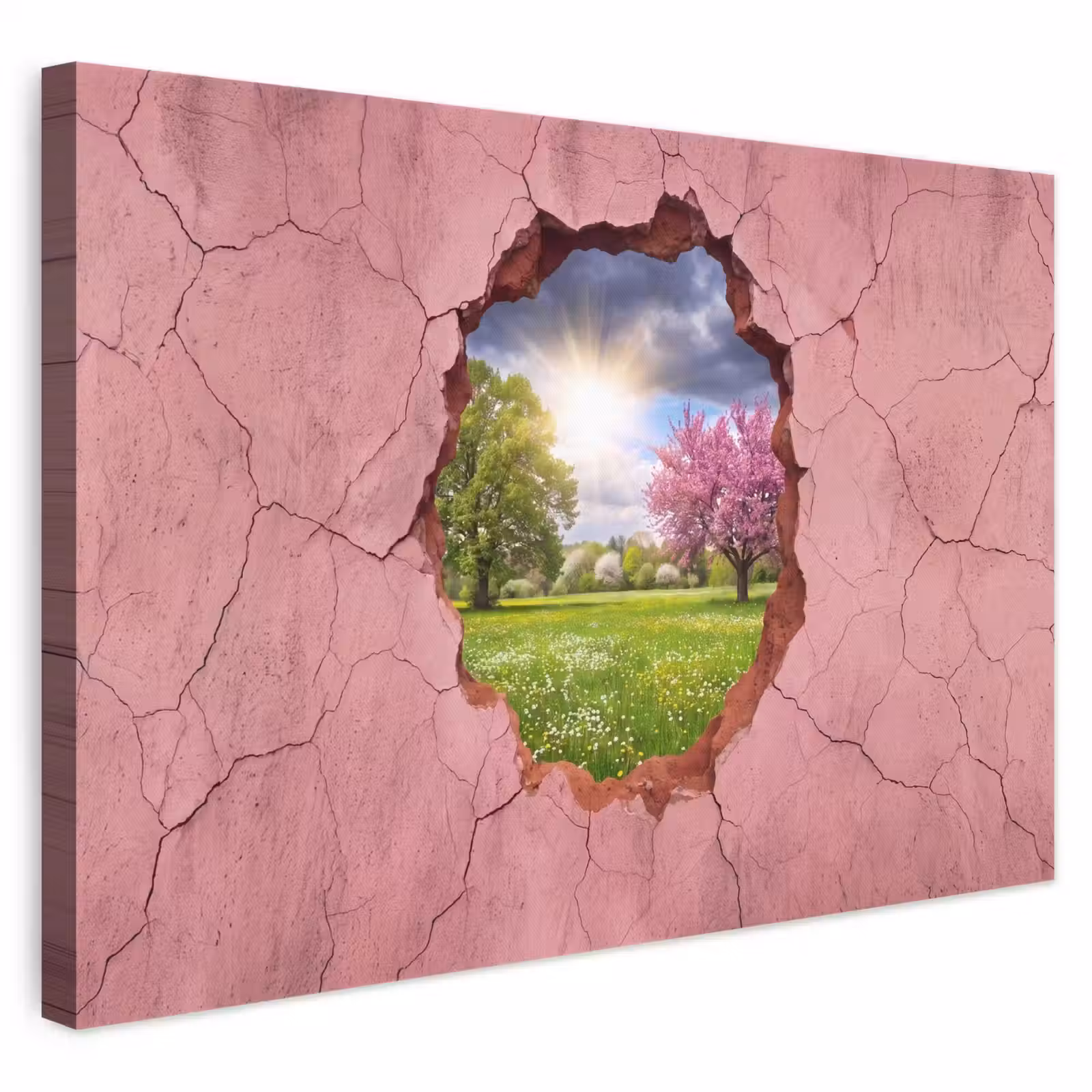 Leinwandbild - Natur – Frühling – Sonne — 1