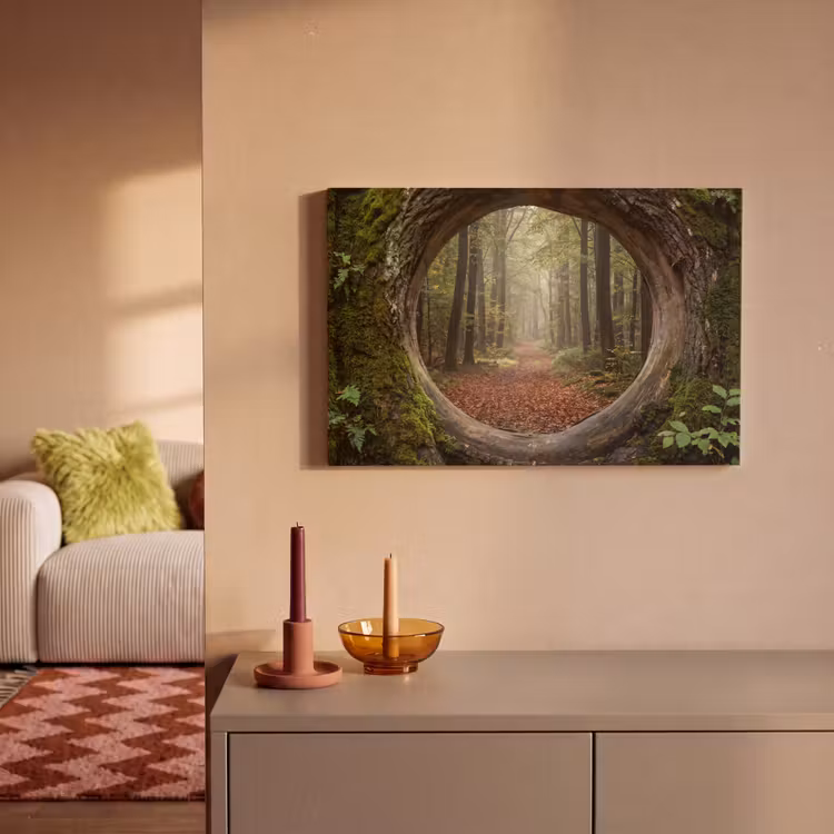 Leinwandbild - Baum – Wald – Natur — 2