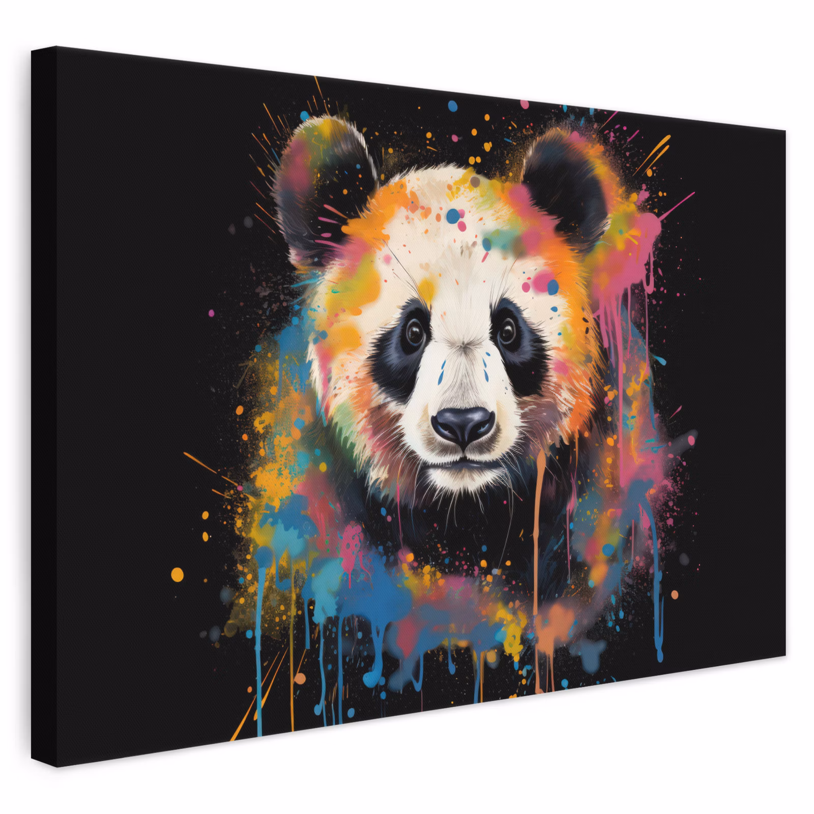 Leinwandbild - Panda - Graffiti - Tiere - Schwarz - Farben — 1