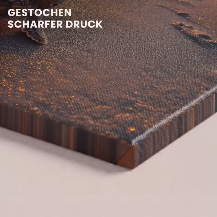 Leinwandbild - Schildkröte - Strand - Sonnenuntergang — 4
