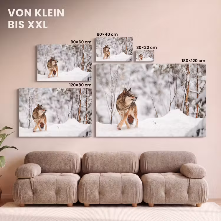 Leinwandbild - Wolf - Winter - Schnee - Natur - Tiere — 6