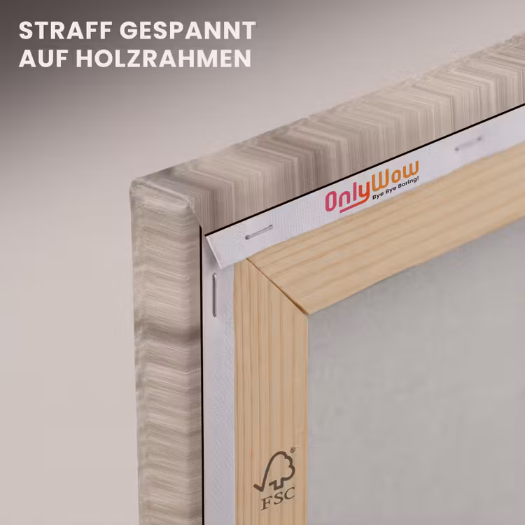 Leinwandbild - Strand - Seestern - Sand - Beige — 5