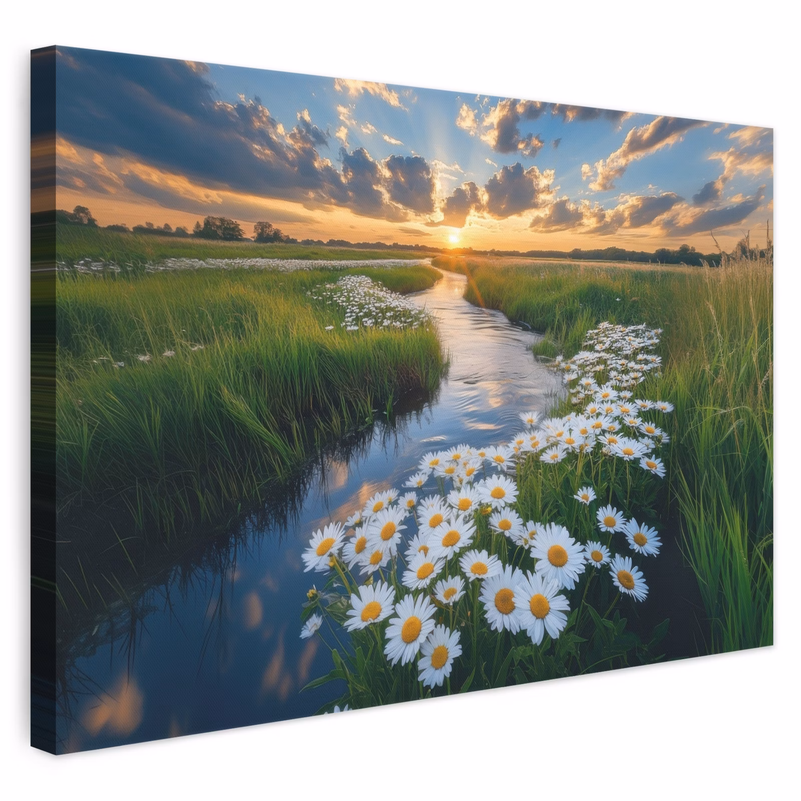 Leinwandbild - Strom - Landschaft - Gänseblümchen — 1