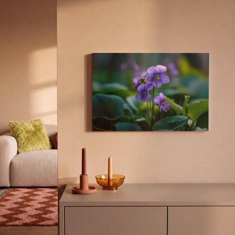 Leinwandbild - Veilchen - Lila - Blume - Blatt — 2