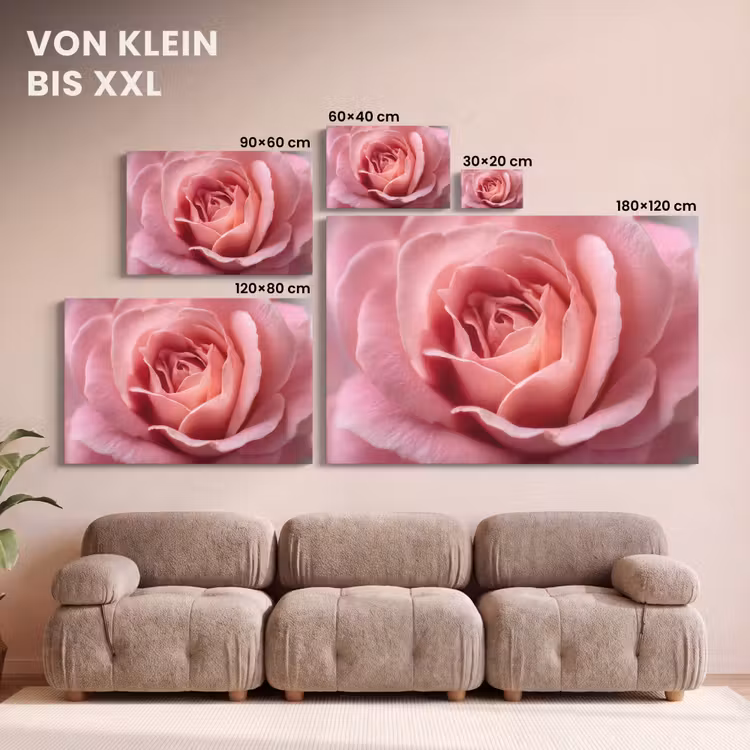 Leinwandbild - Rosa - Rose - Romantisch — 6