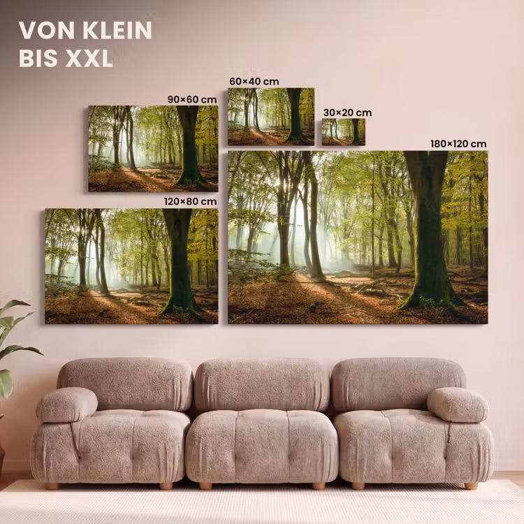 Leinwandbild - Wald - Sonne - Jahreszeiten - Landschaft — 6