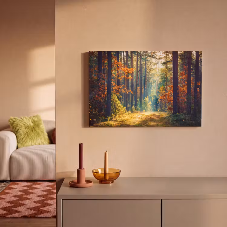 Leinwandbild - Wald – Sonne – Natur – Herbst — 2
