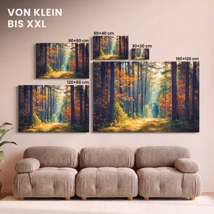 Leinwandbild - Wald – Sonne – Natur – Herbst — 6