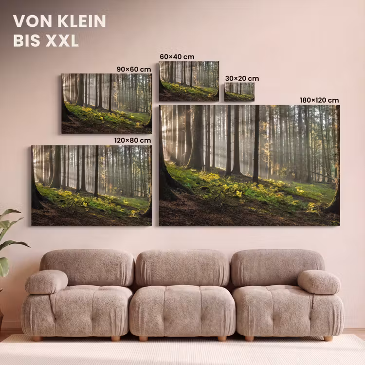 Leinwandbild - Sonne - Äste - Bäume - Wald - Natur — 6