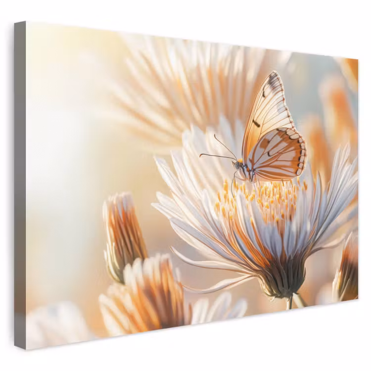 Leinwandbild - Schmetterling - Blume - Orange — 1