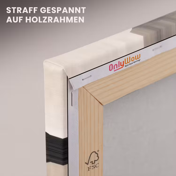 Leinwandbild - Skurrile Formen - Subtile Übergänge - Dynamisch — 5