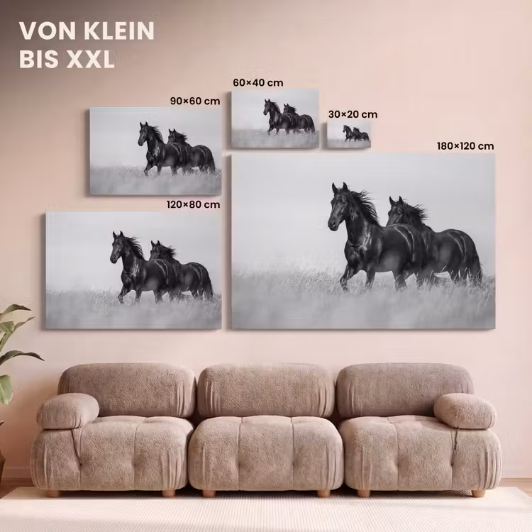 Leinwandbild - Pferde - Gras - Schwarz - Weiß — 6