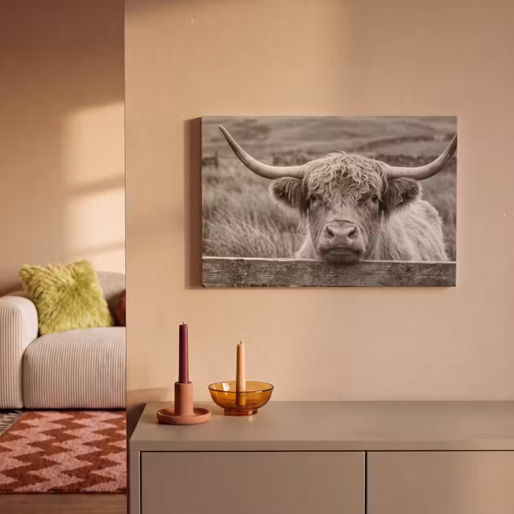 Leinwandbild - Schottischer Highlander - Schwarz - Weiß - Holz — 2