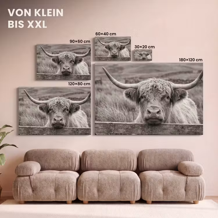 Leinwandbild - Schottischer Highlander - Schwarz - Weiß - Holz — 6