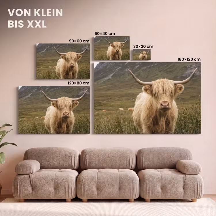 Leinwandbild - Schottischer Hochländer - Bergen - Grasfeld — 6