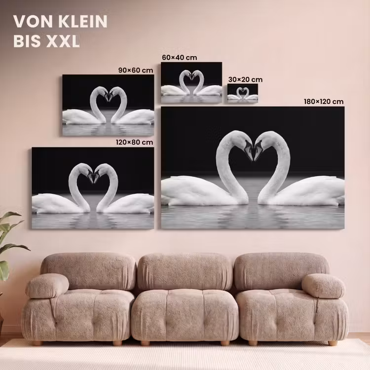 Leinwandbild - Schwäne - Herz - Schwarz - Weiß — 6