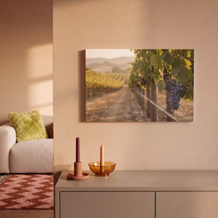 Leinwandbild - Trauben - Weinberg - Sonnenlicht — 2