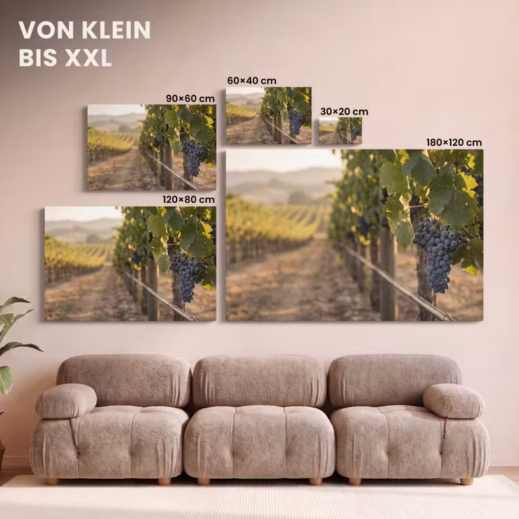 Leinwandbild - Trauben - Weinberg - Sonnenlicht — 6