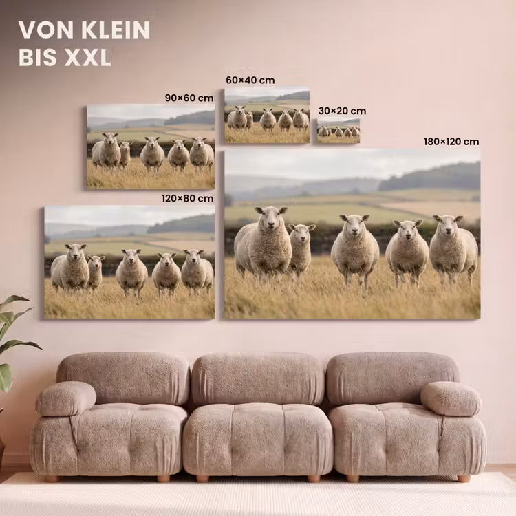 Leinwandbild - Schafe - Weidelandschaft - Hügel — 6