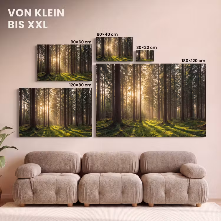 Leinwandbild - Wald - Gras - Sonnenlicht — 6
