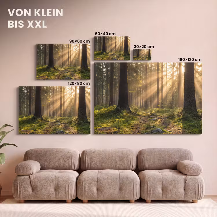Leinwandbild - Wald - Sonnenlicht - Gras — 6
