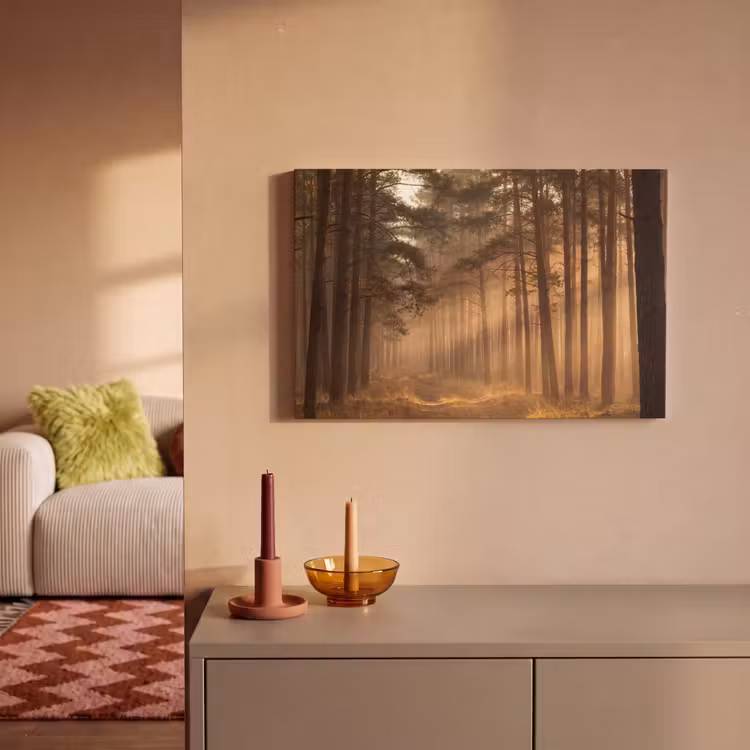 Leinwandbild - Wald - Nebel - Sonnenlicht — 2