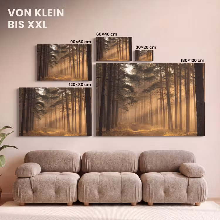 Leinwandbild - Wald - Nebel - Sonnenlicht — 6