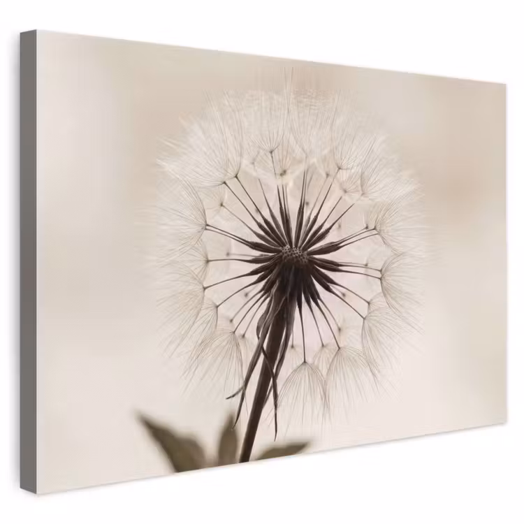 Leinwandbild - Pusteblume - Minimalistisch - Weiß — 1