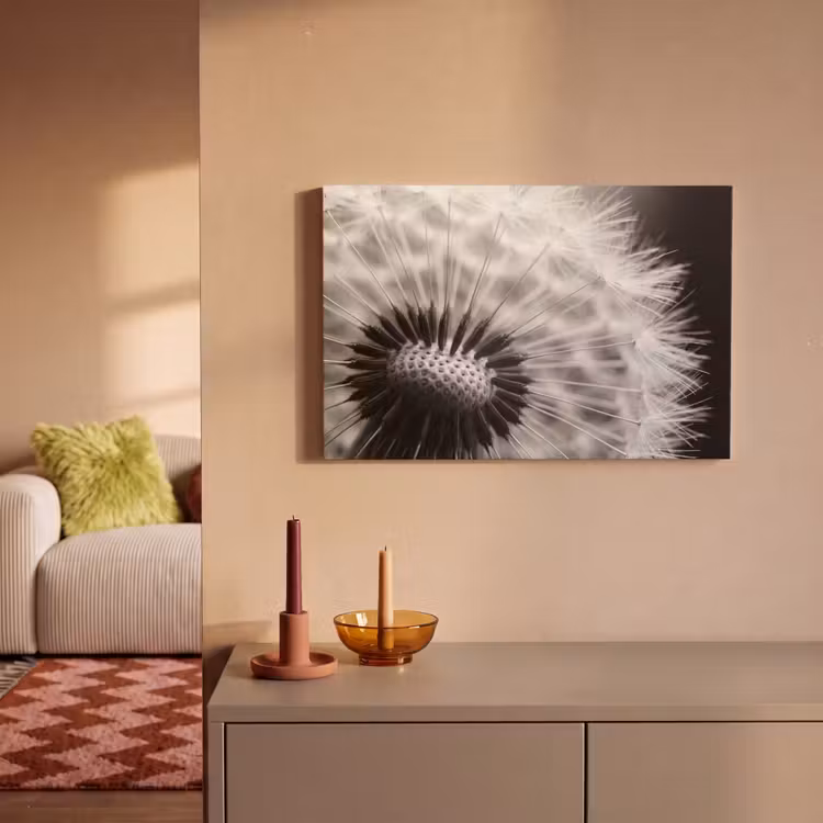 Leinwandbild - Pusteblume - Schwarz - Weiß — 2