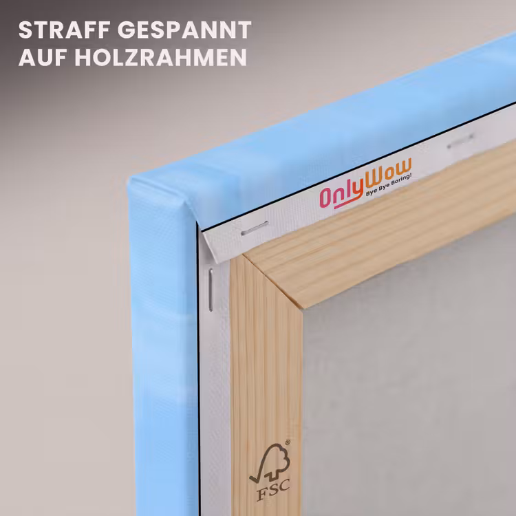 Leinwandbild - Schneekugel – Weihnachten – Geschenke — 5