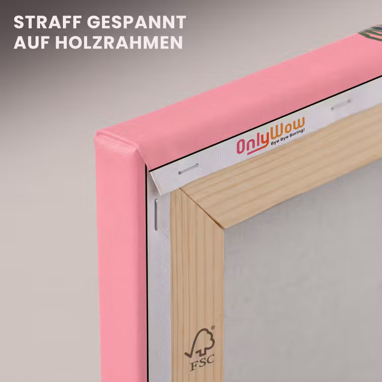 Leinwandbild - Pflanze – Band – Rosa — 5