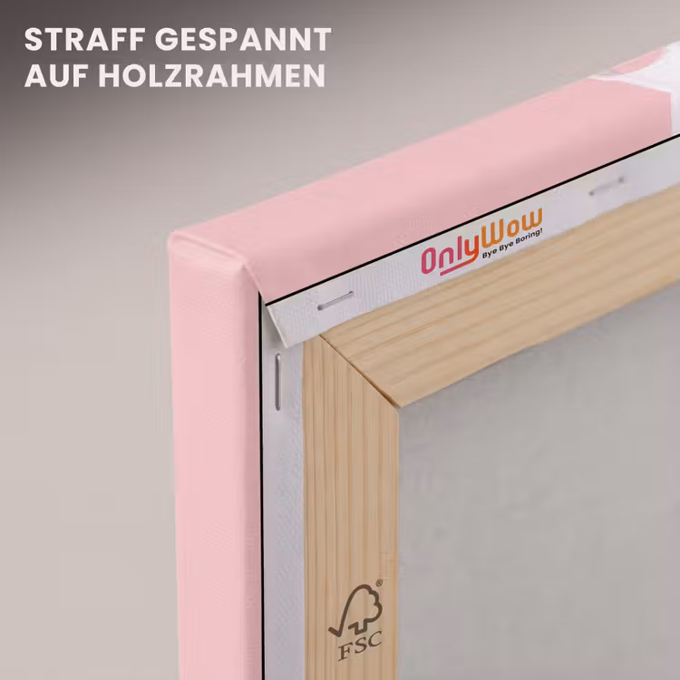 Leinwandbild - Pflanze – Weihnachten – Rosa — 5