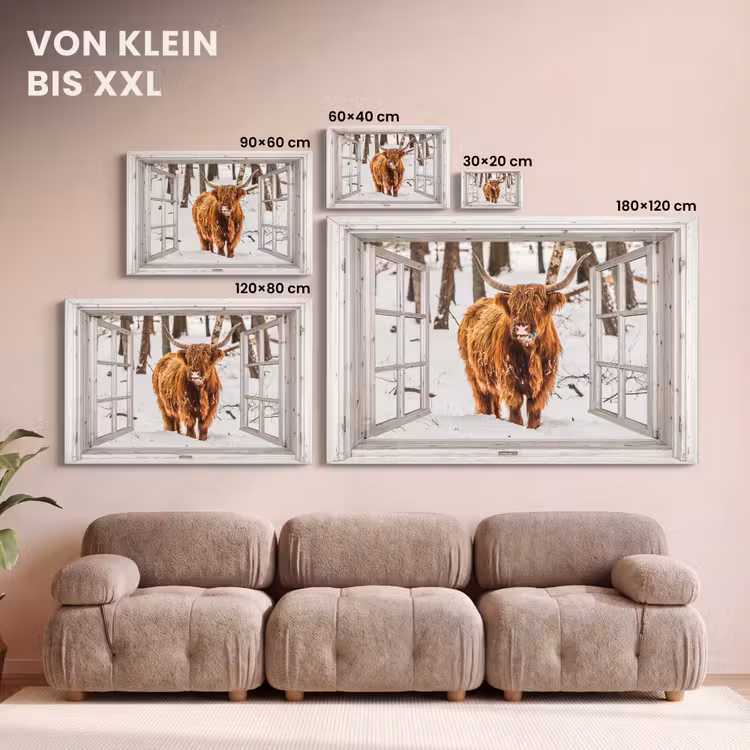 Leinwandbild - Schottische Highlander - Schnee - Winter - Natur - Tier - Aussicht - Ländlich — 6