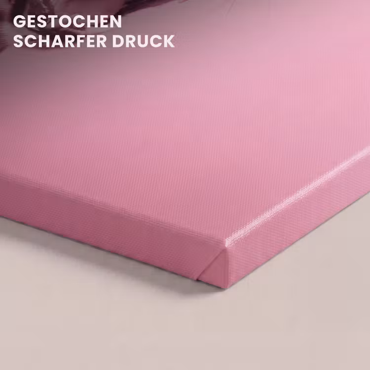 Leinwandbild - Rosa Katze – Modern — 4