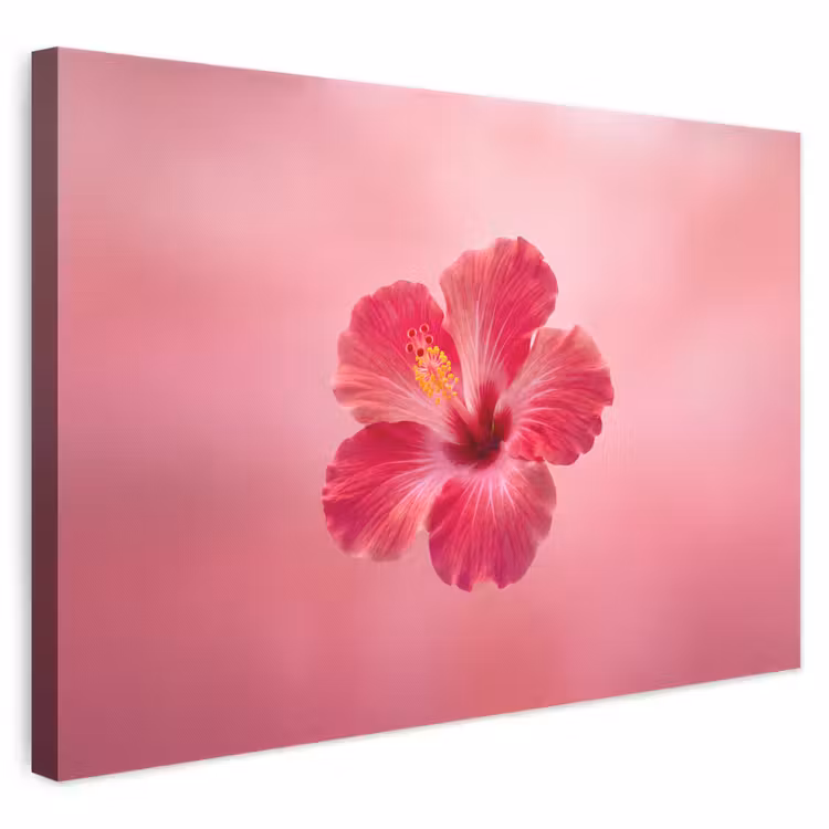 Leinwandbild - Rote Blume – Natur — 1