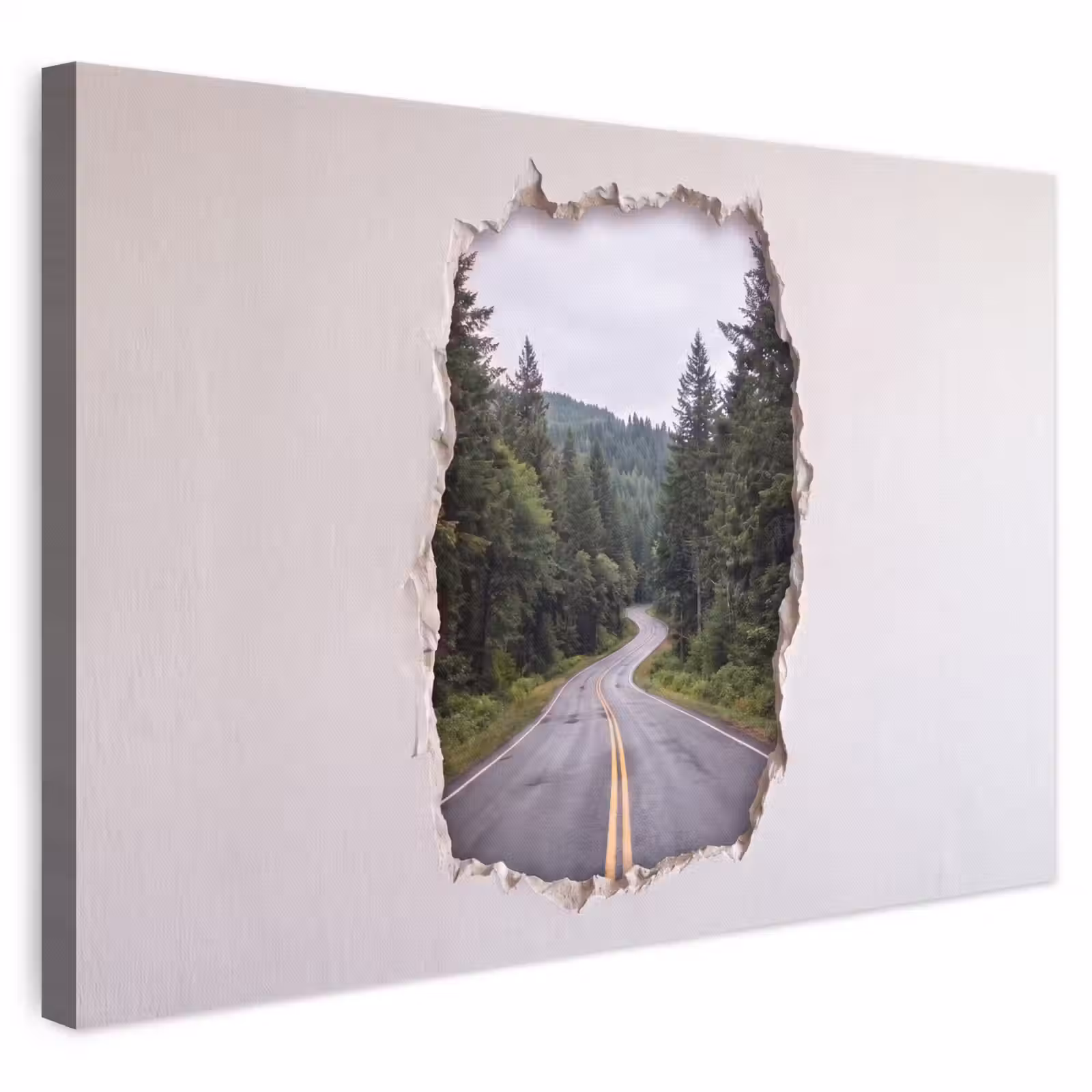 Leinwandbild - Straße – Wald – Natur — 1