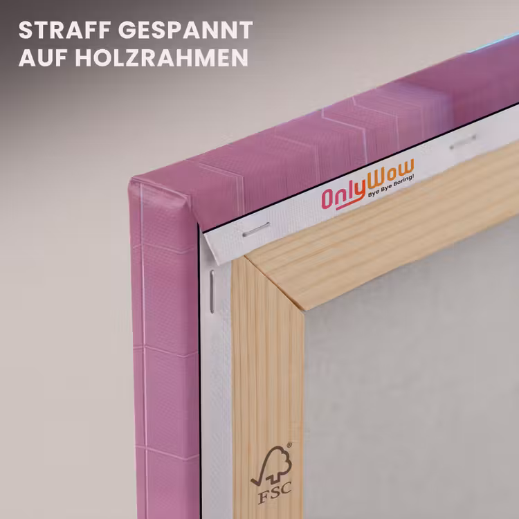 Leinwandbild - Rosa Tür – Fantasie — 5
