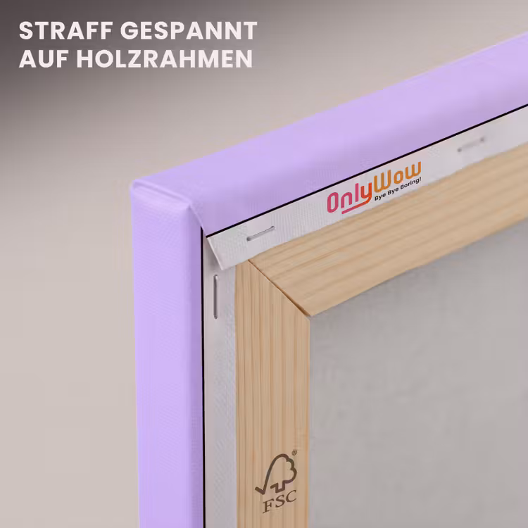 Leinwandbild - Stern – Holografisch – Modern — 5