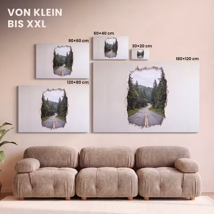 Leinwandbild - Straße – Wald – Natur — 6