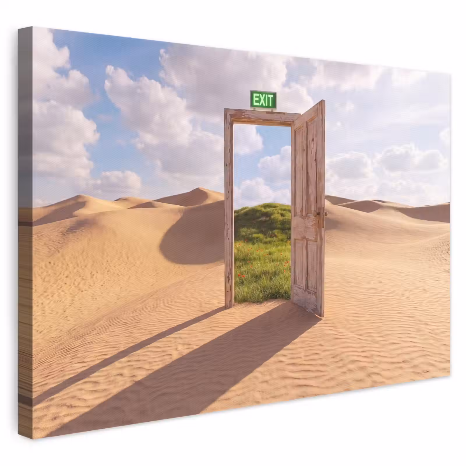 Leinwandbild - Tür – Wüste – Gras — 1
