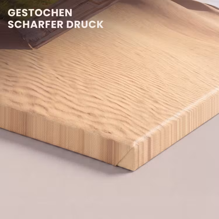 Leinwandbild - Tür – Wüste – Gras — 4