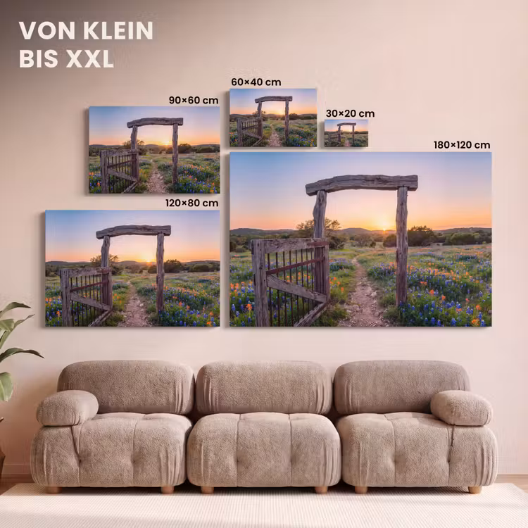 Leinwandbild - Tor – Blumen – Natur — 6