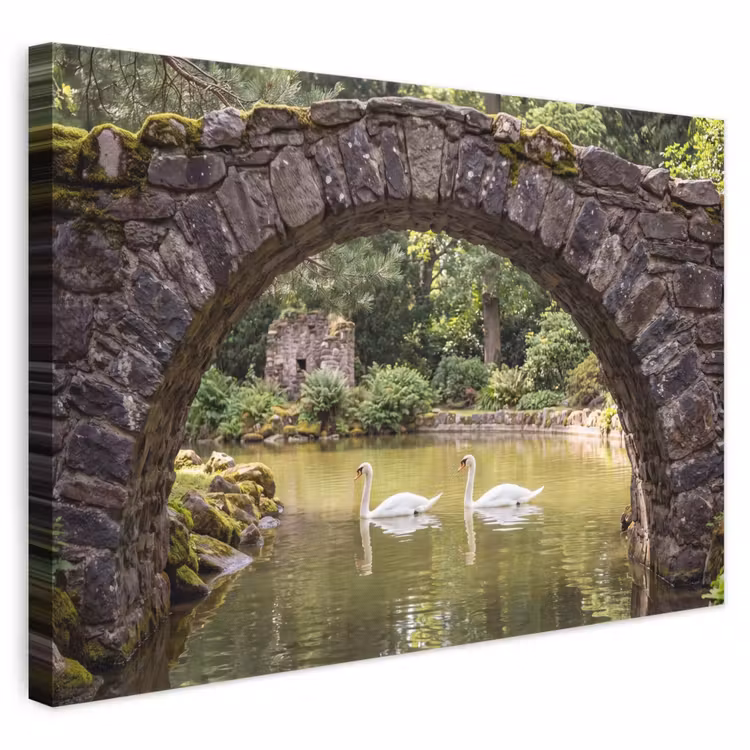 Leinwandbild - Vogel – Wasser – Natur — 1