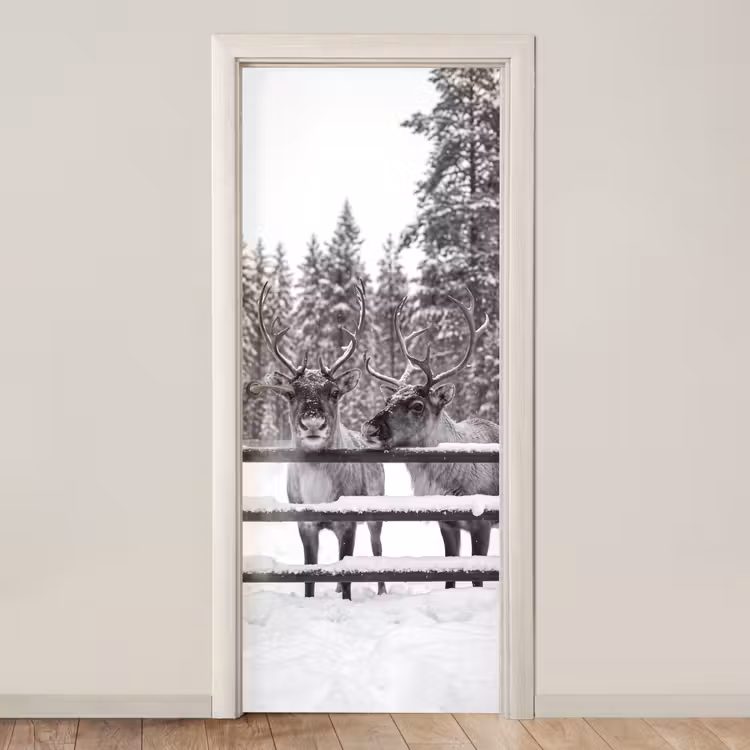 Türtapete - Rentier – Schnee – Winter — 1