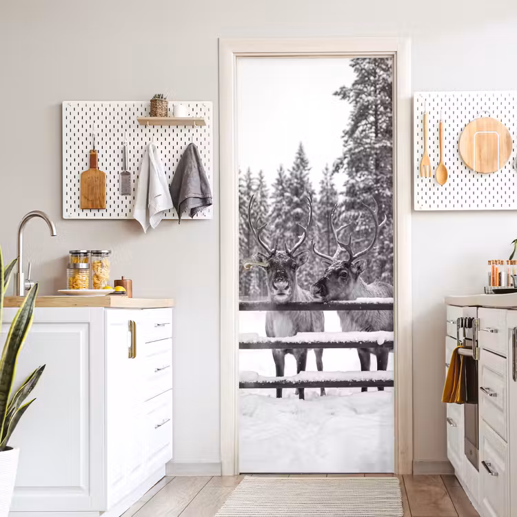Türtapete - Rentier – Schnee – Winter — 6